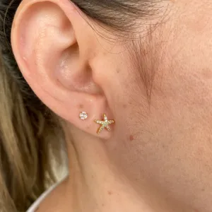 Brinco Estrela do Mar Cravejado Coleção Zurique Banho Ouro 18k Semijoia