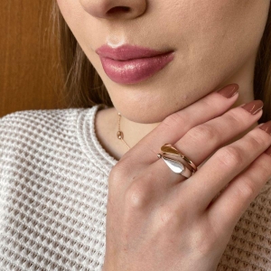 Anel Minimalista Liso Jardim Secreto Banhado Em Ouro 18k