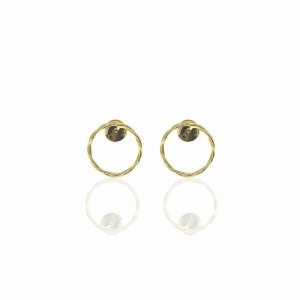 Brinco Circulo Torcidinho Banho Ouro 18k Semijoia