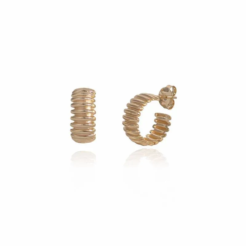 Brinco Argola Craquelada Banho Ródio Branco Semijoia